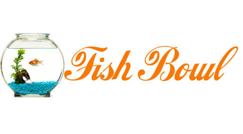 Betesi2.com
